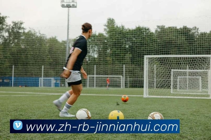 App Interface Preview